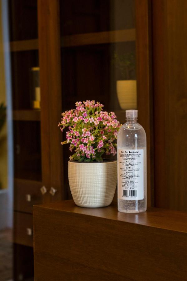 Hotel Boutique Sayab Valladolid  Dış mekan fotoğraf